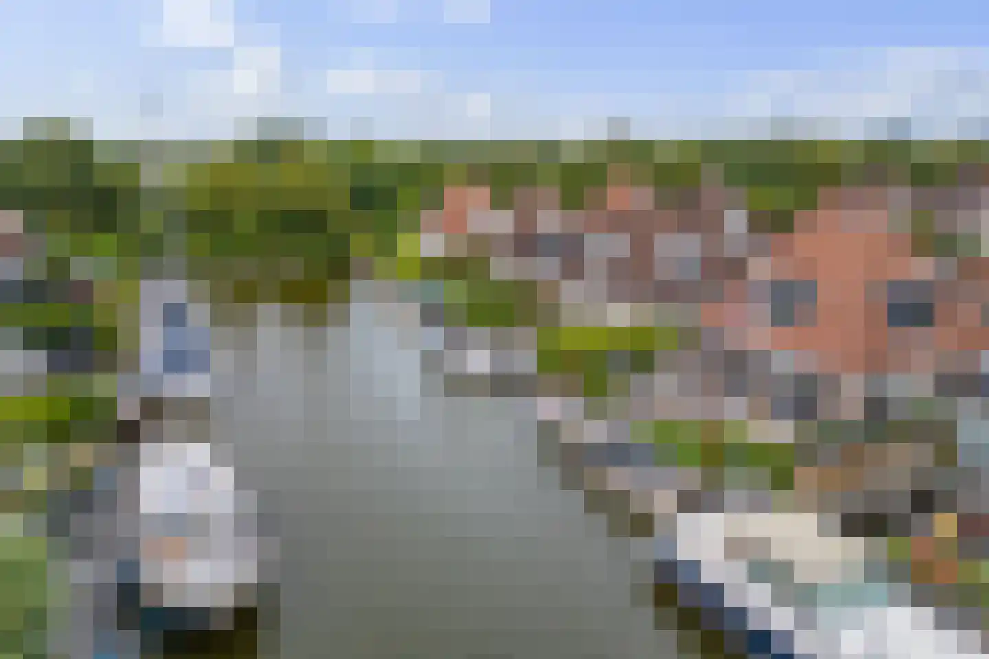 De Greiden 109 Indijk thumbnail 67