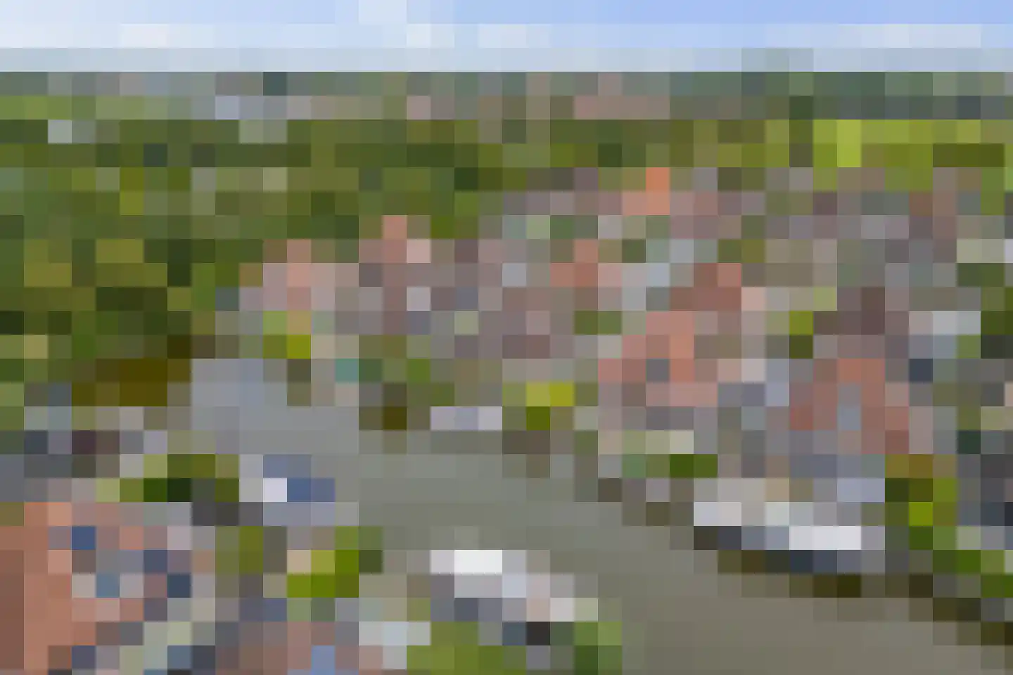 De Greiden 109 Indijk thumbnail 69