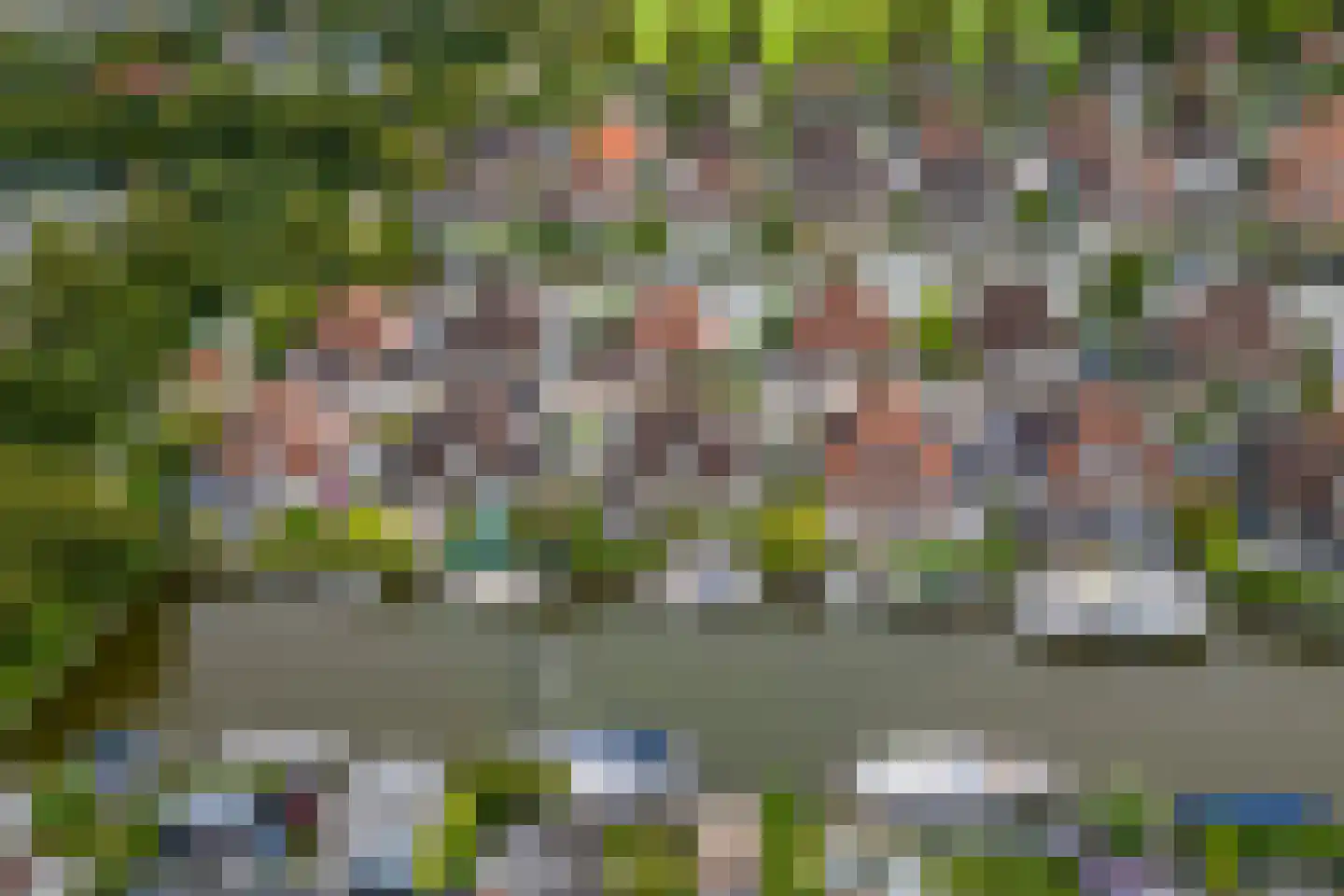 De Greiden 109 Indijk thumbnail 72