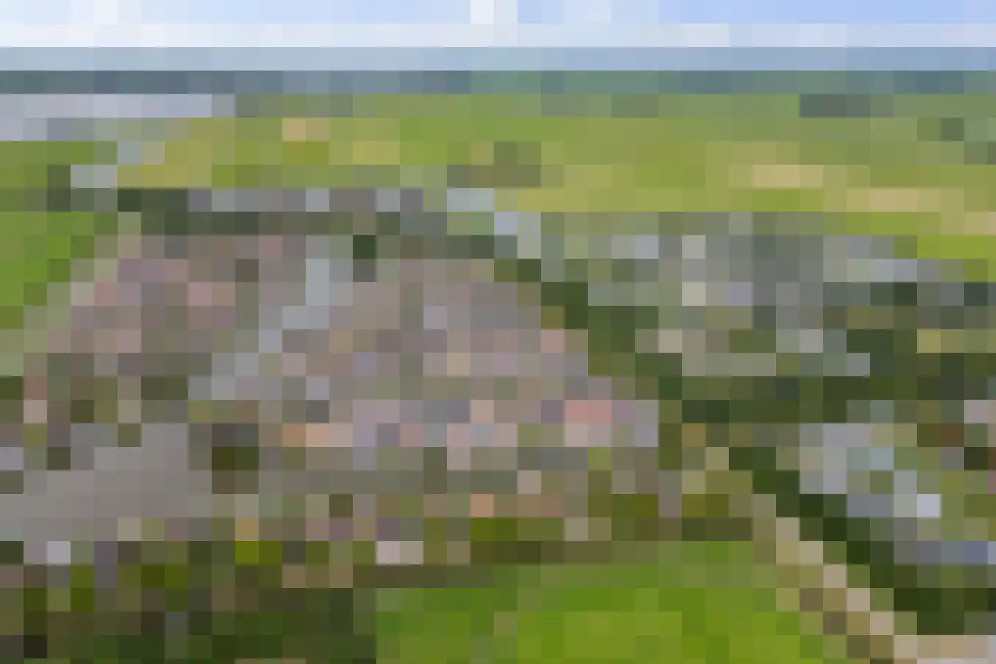 De Greiden 109 Indijk thumbnail 73