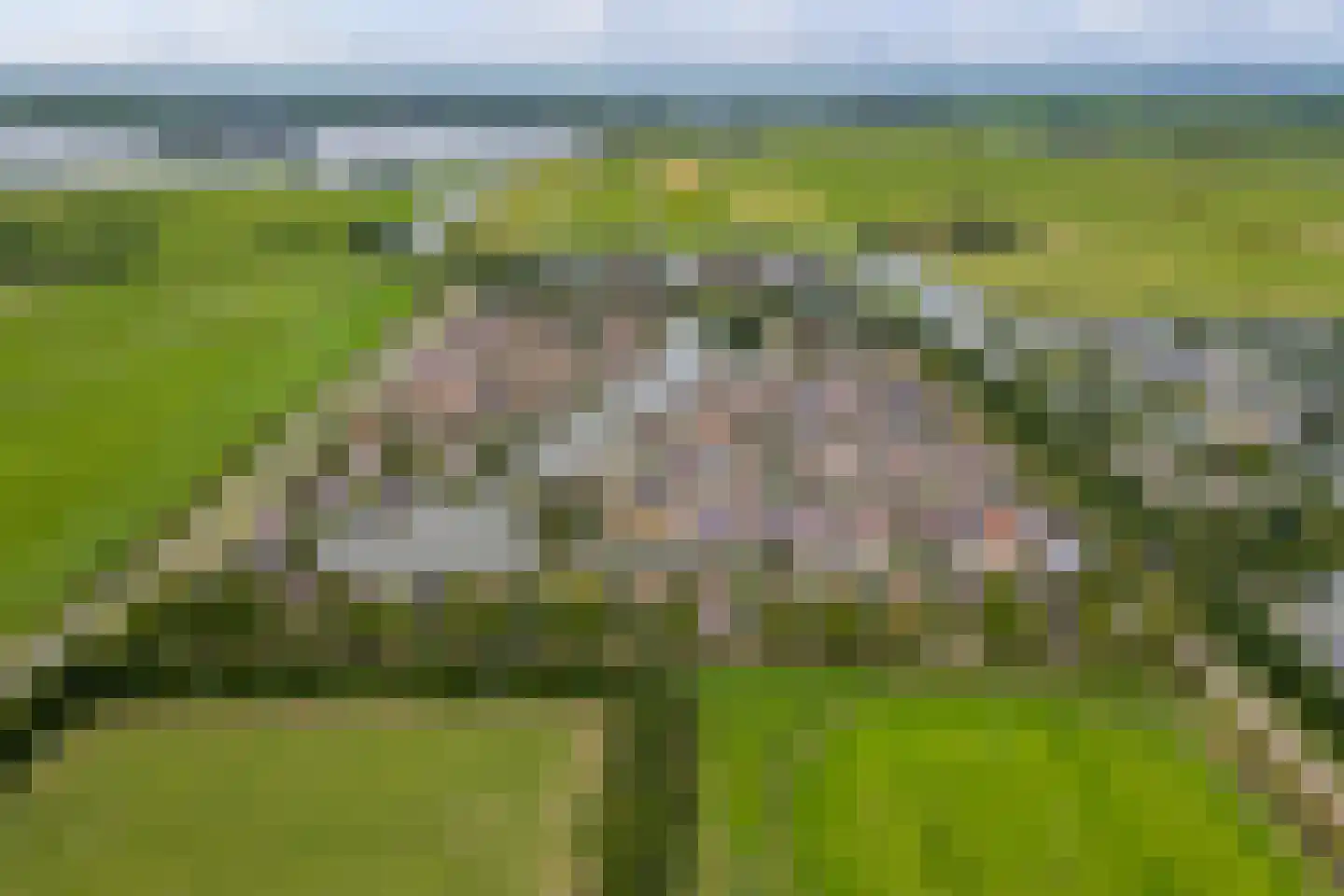 De Greiden 109 Indijk thumbnail 74