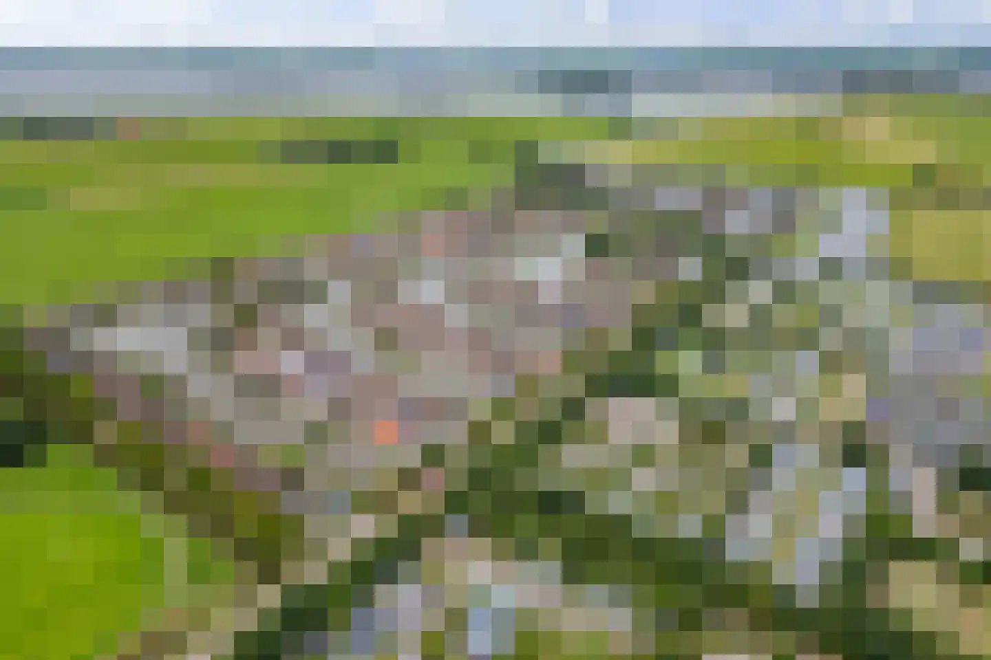 De Greiden 109 Indijk thumbnail 76