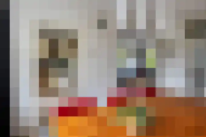 De Greiden 11 Idskenhuizen thumbnail 14