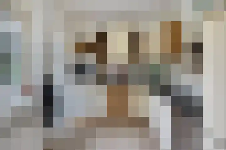 De Greiden 11 Idskenhuizen thumbnail 15
