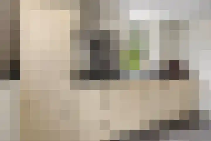 De Greiden 11 Idskenhuizen thumbnail 17