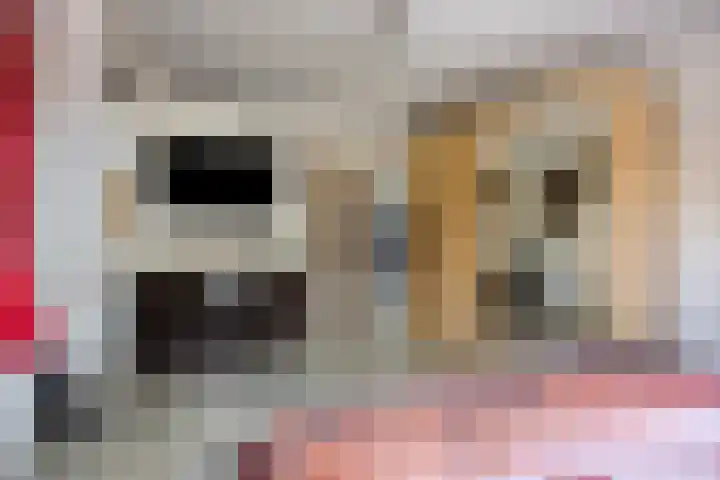 De Greiden 11 Idskenhuizen thumbnail 26