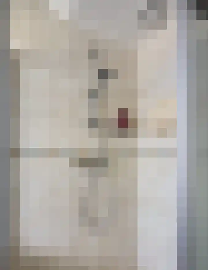 De Greiden 11 Idskenhuizen thumbnail 28