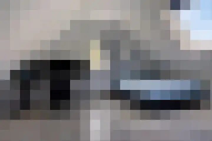 De Greiden 11 Idskenhuizen thumbnail 34