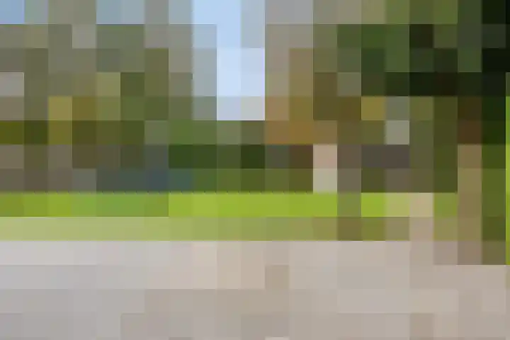 De Greiden 11 Idskenhuizen thumbnail 35