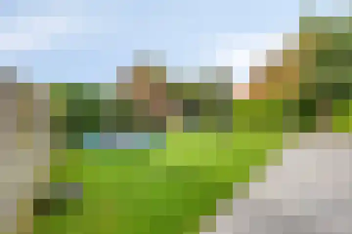 De Greiden 11 Idskenhuizen thumbnail 36