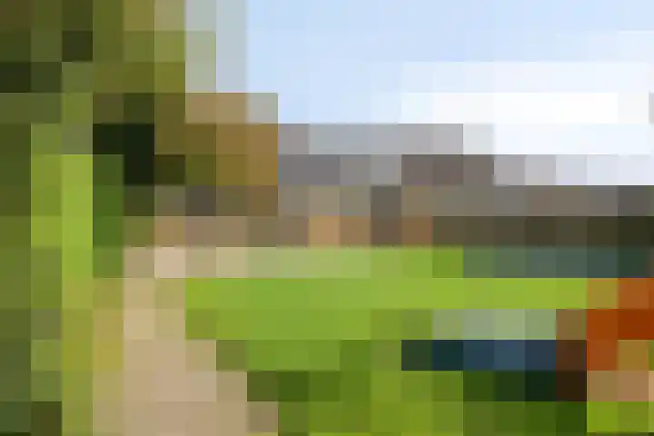 De Greiden 11 Idskenhuizen thumbnail 37