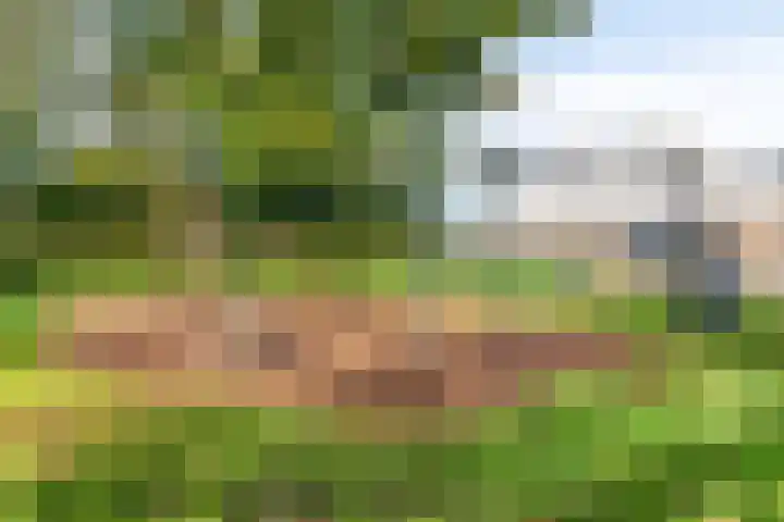 De Greiden 11 Idskenhuizen thumbnail 39