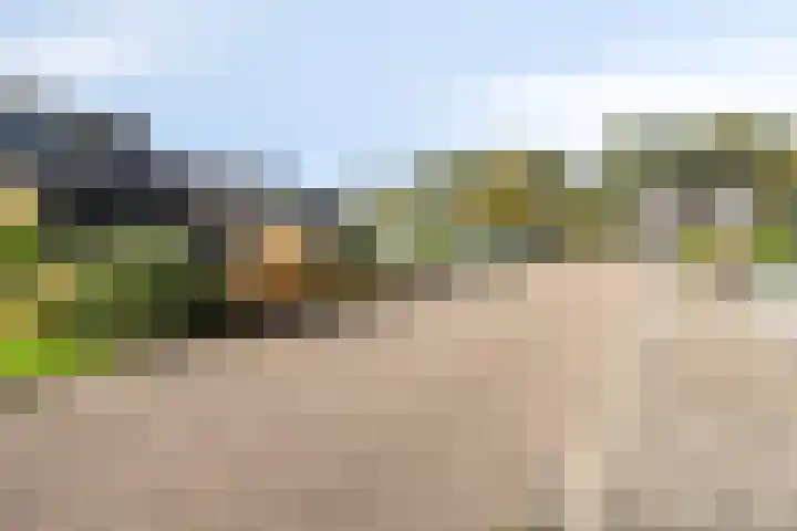 De Greiden 11 Idskenhuizen thumbnail 5