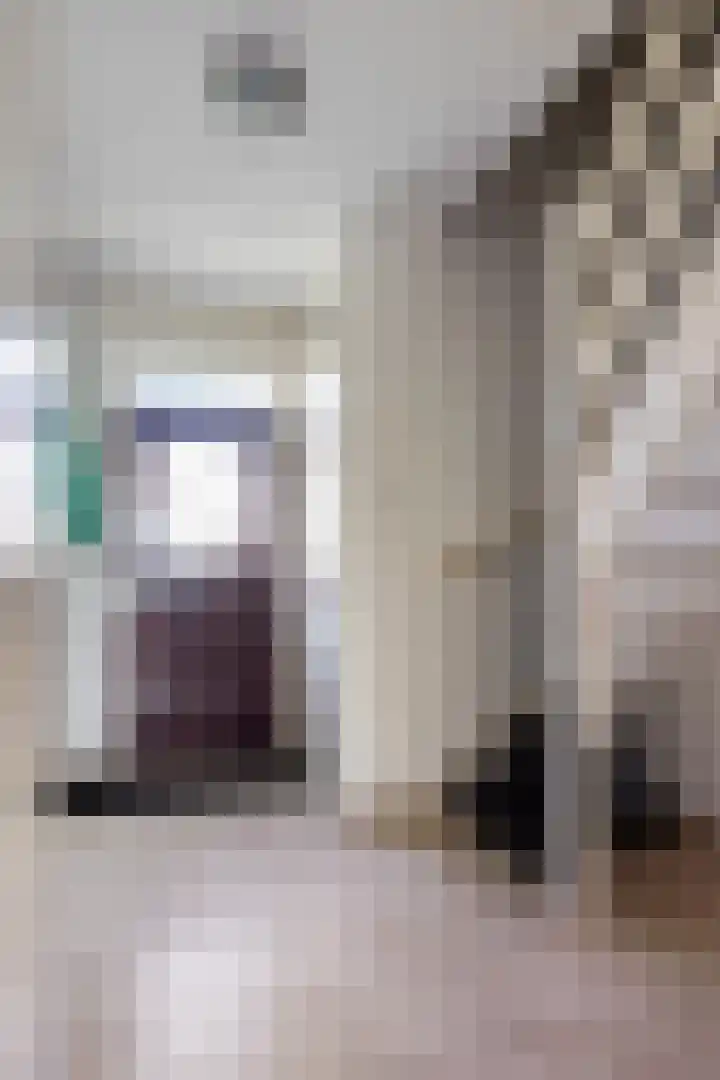 De Greiden 11 Idskenhuizen thumbnail 8