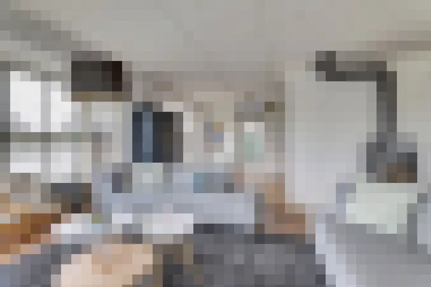 De Greiden 118 Indijk thumbnail 11