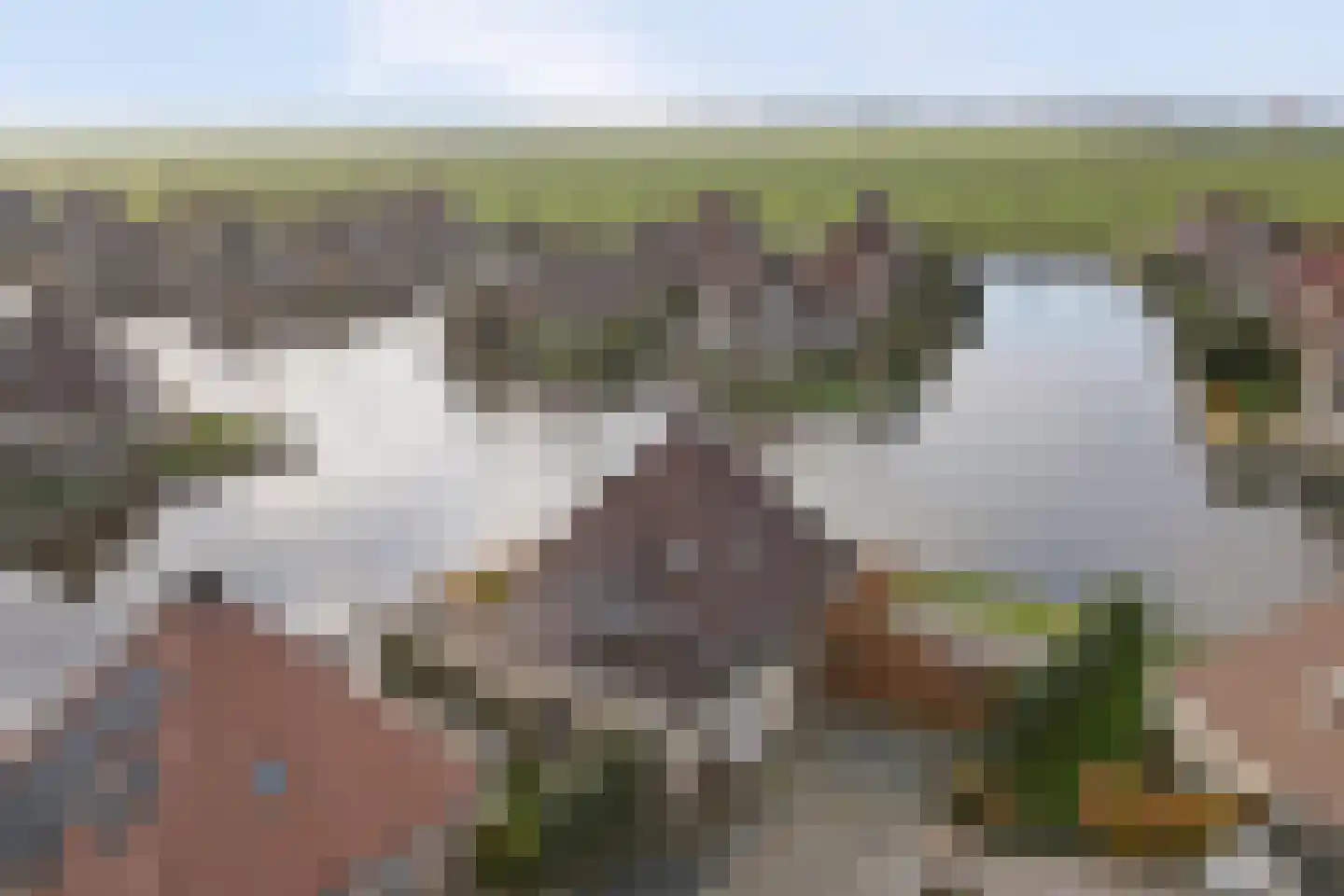 De Greiden 118 Indijk thumbnail 44