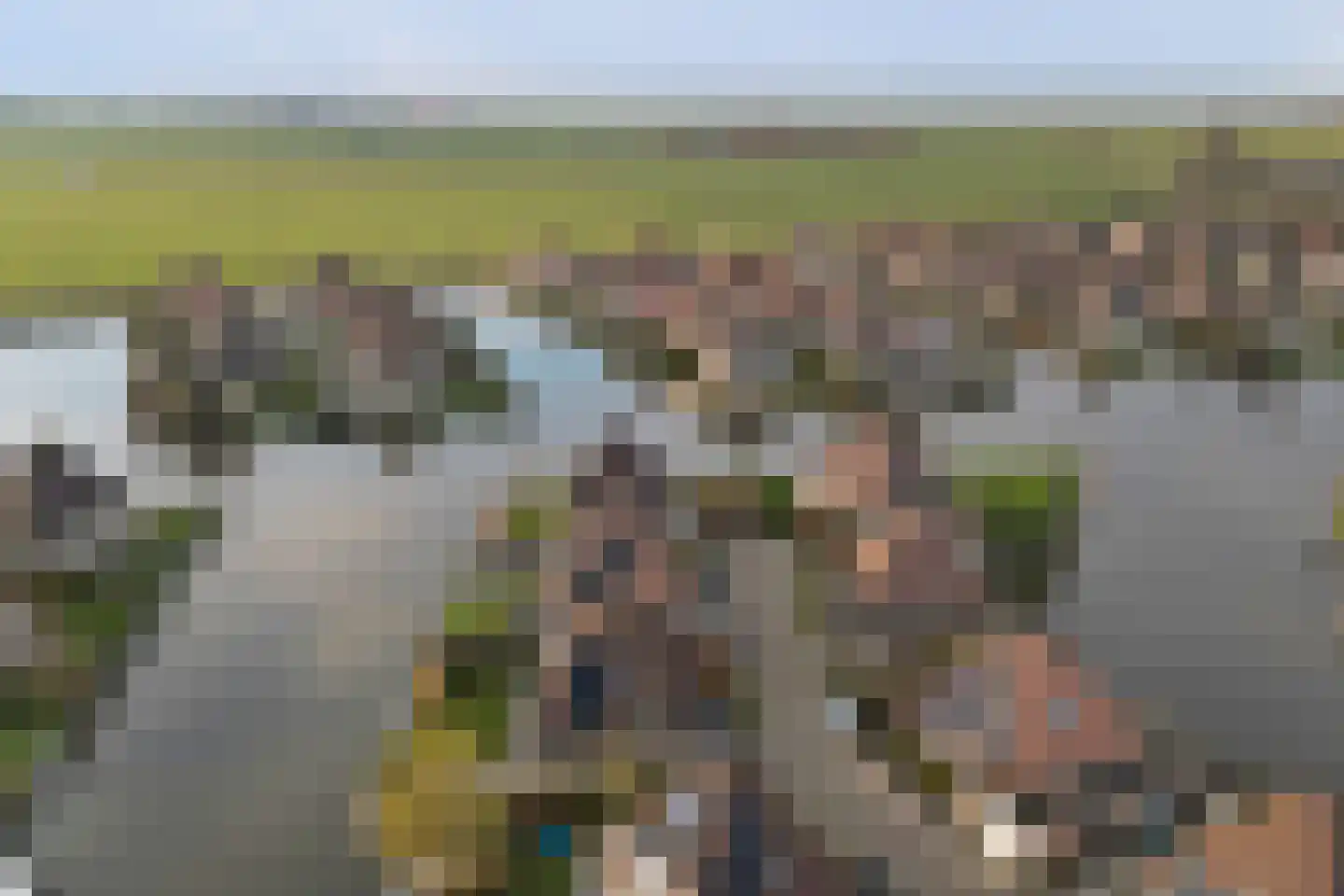 De Greiden 118 Indijk thumbnail 45
