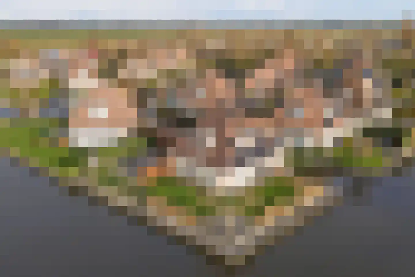 De Greiden 118 Indijk thumbnail 46