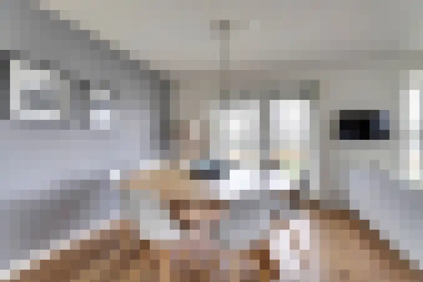 De Greiden 118 Indijk thumbnail 8