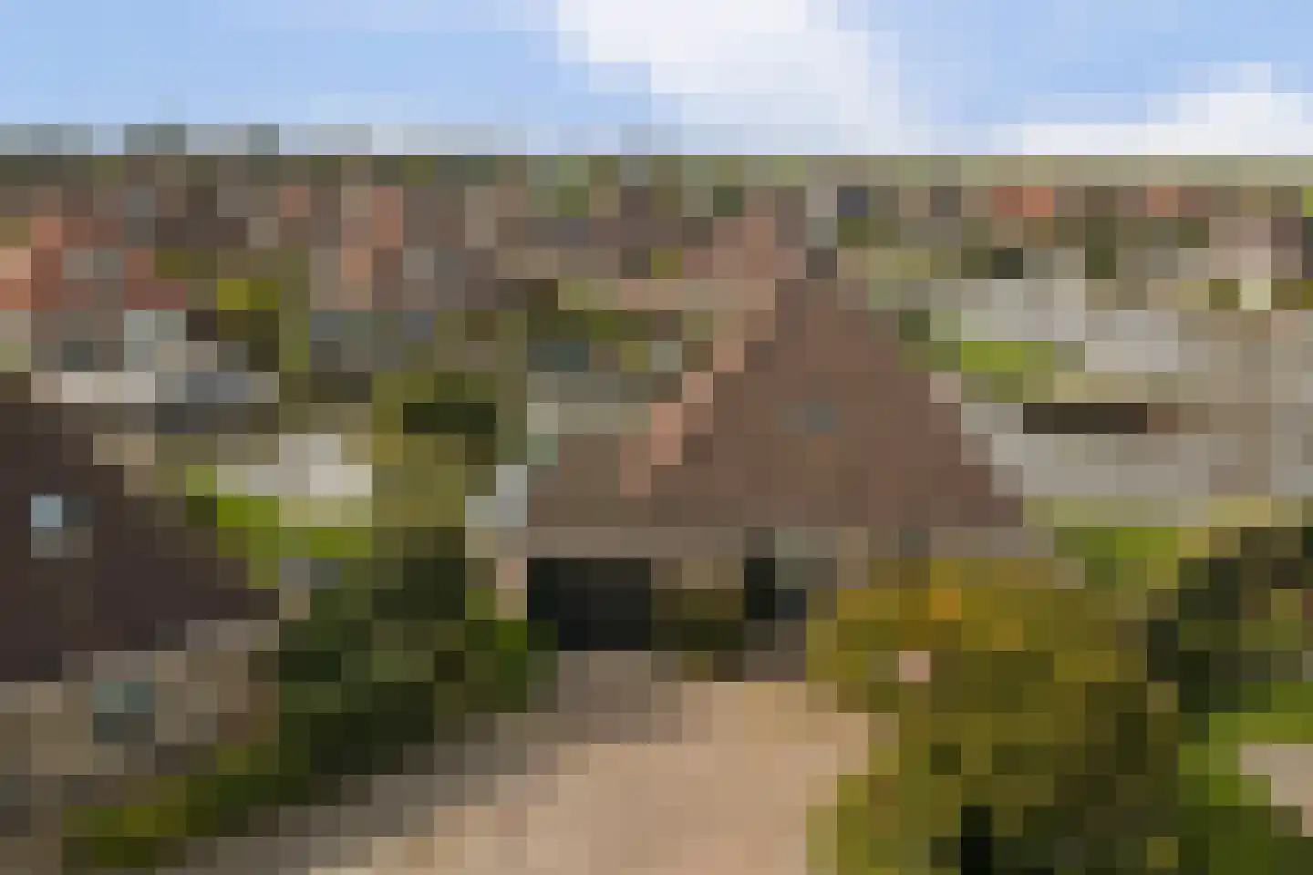 De Greiden 128 Indijk thumbnail 13