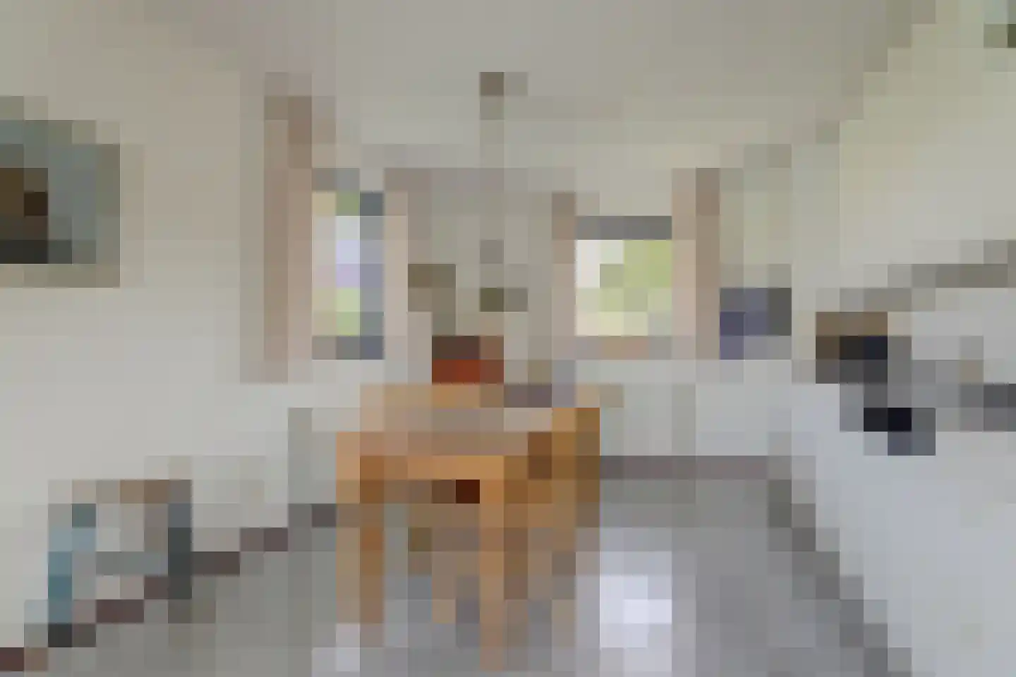 De Greiden 128 Indijk thumbnail 21