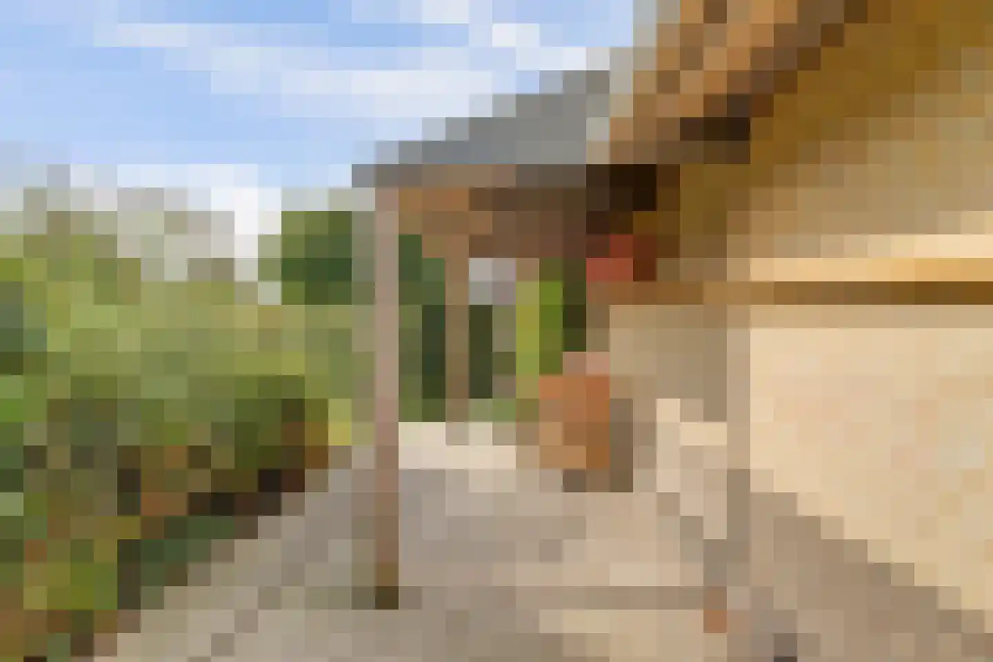 De Greiden 128 Indijk thumbnail 32