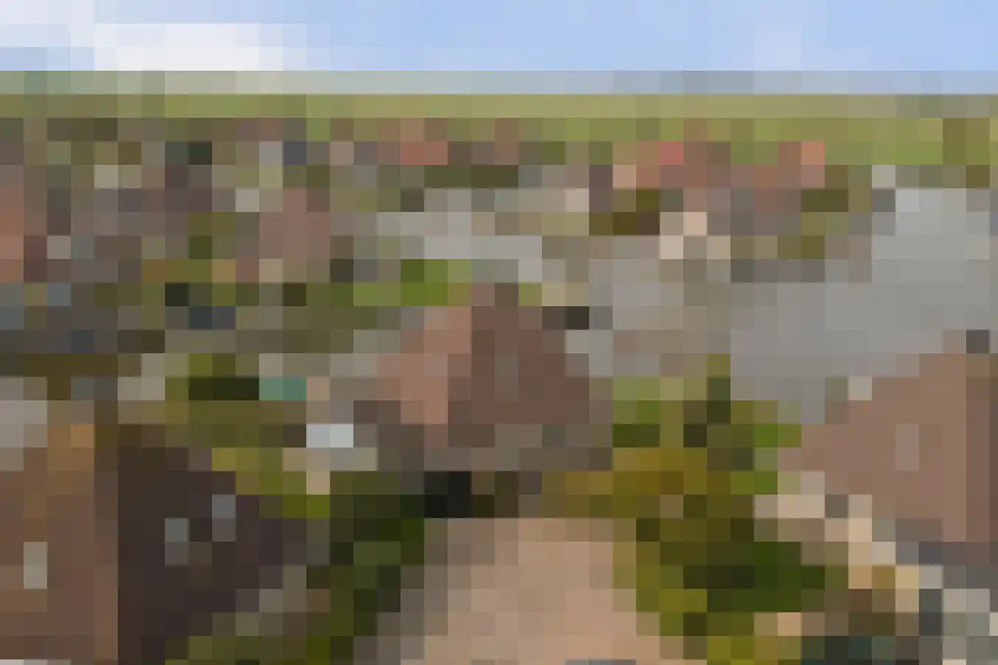 De Greiden 128 Indijk thumbnail 5