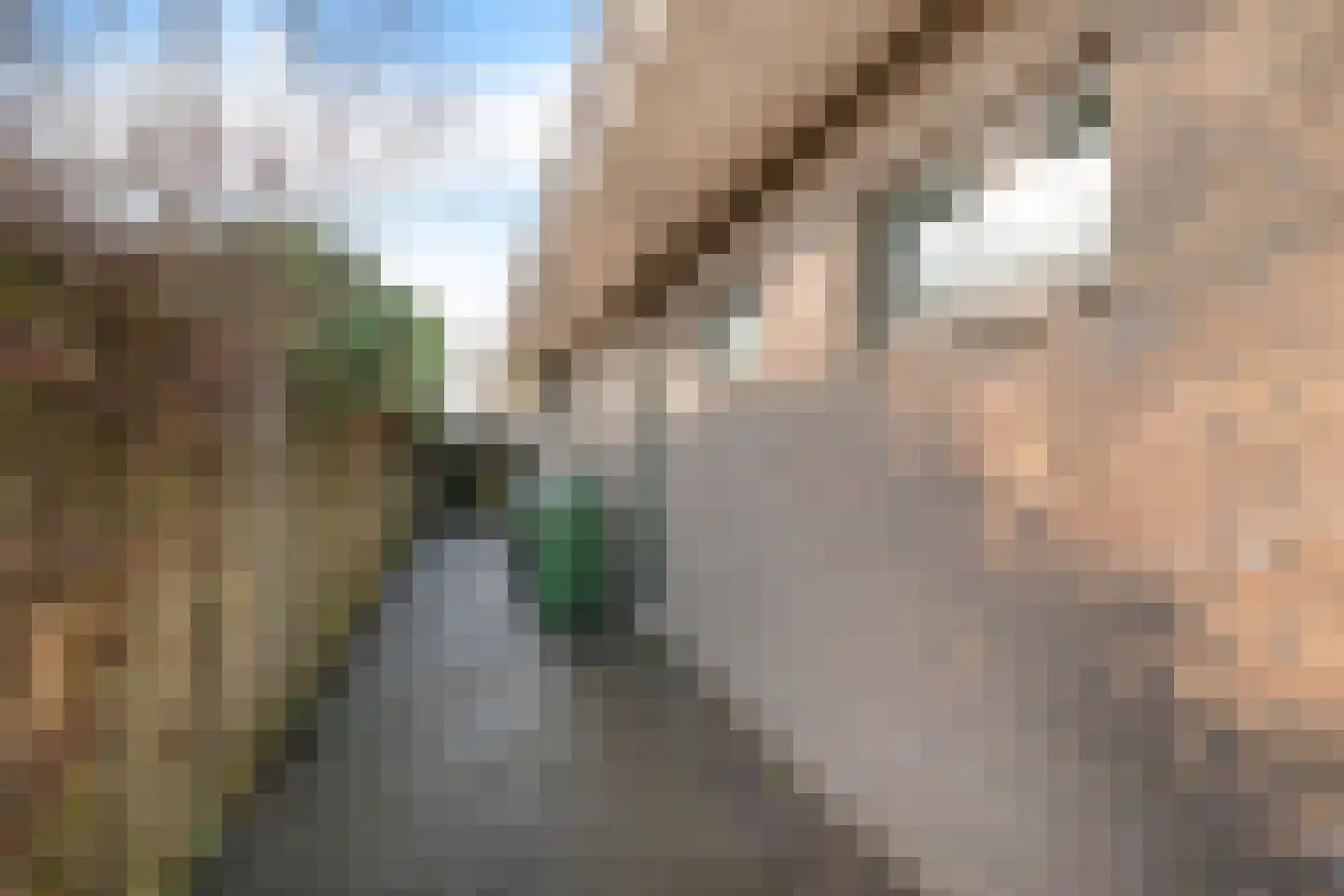 De Greiden 14 Britsum thumbnail 10