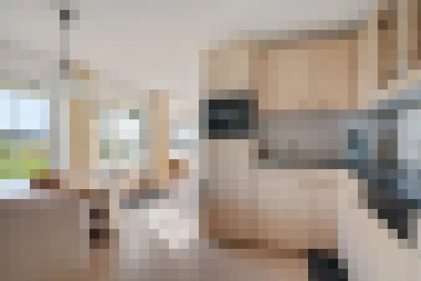 De Greiden 14 Britsum thumbnail 26