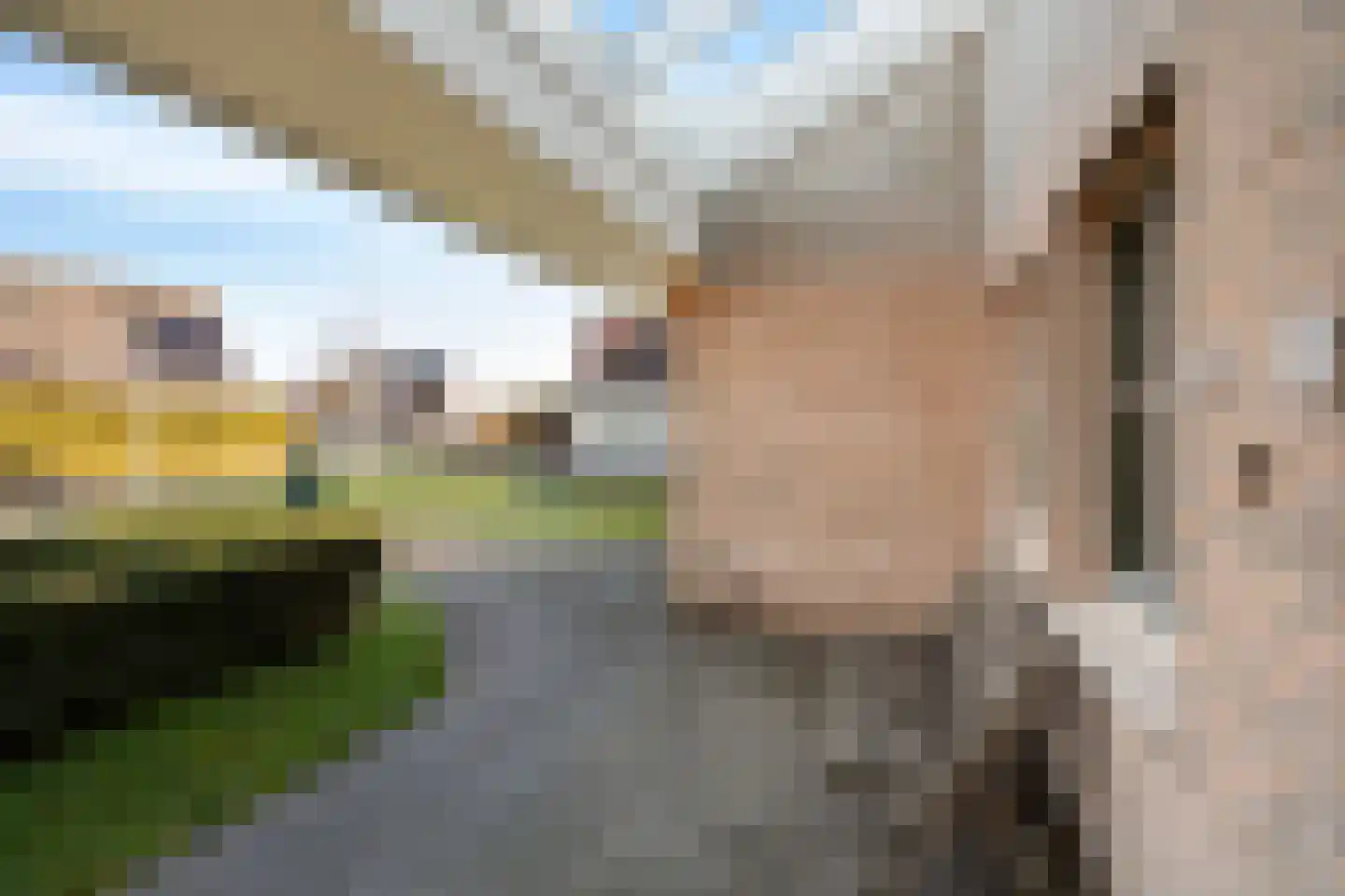 De Greiden 14 Britsum thumbnail 9