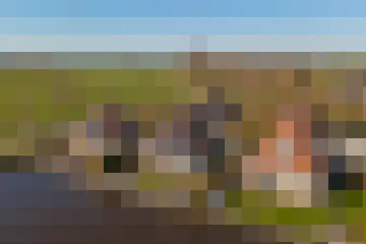 De Greiden 17 Indijk