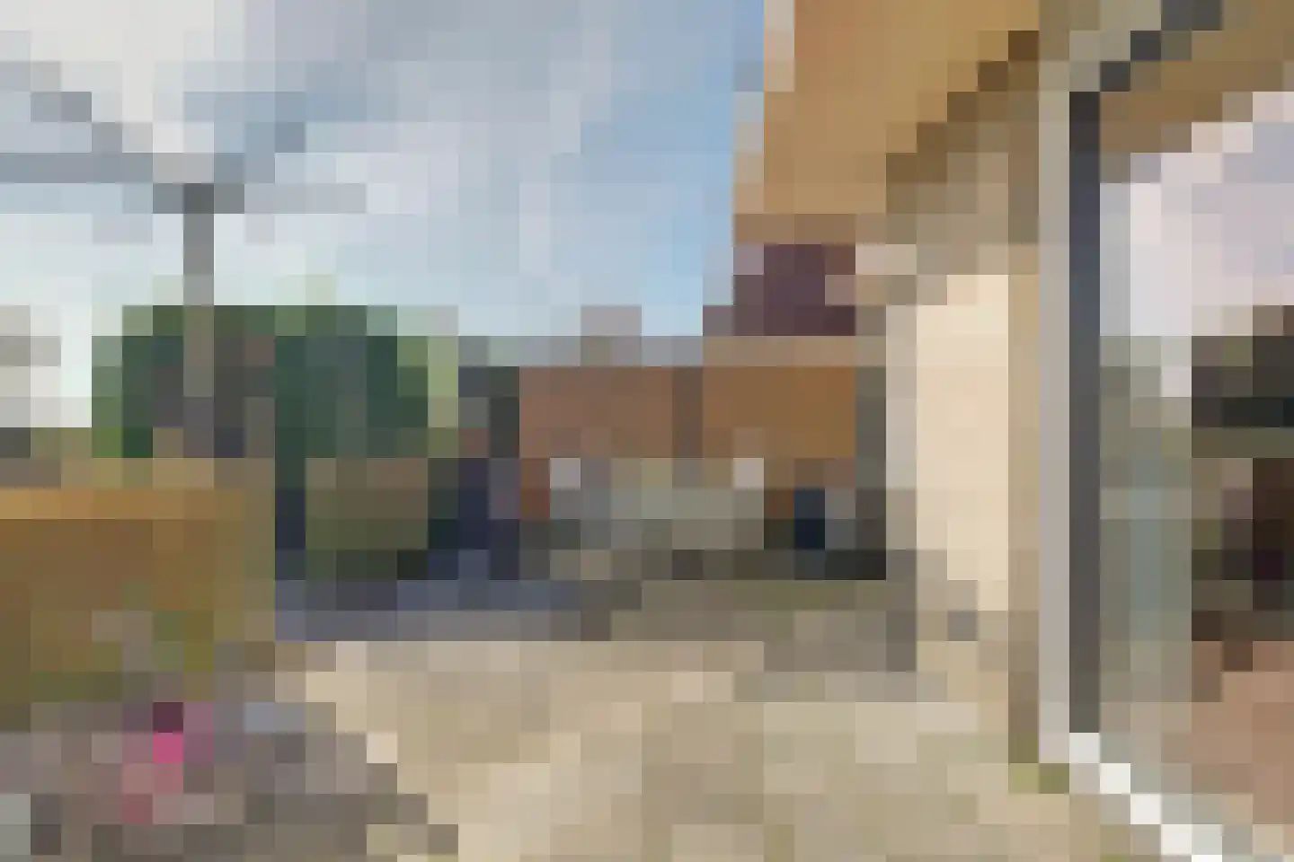 De Greiden 17 Indijk thumbnail 31