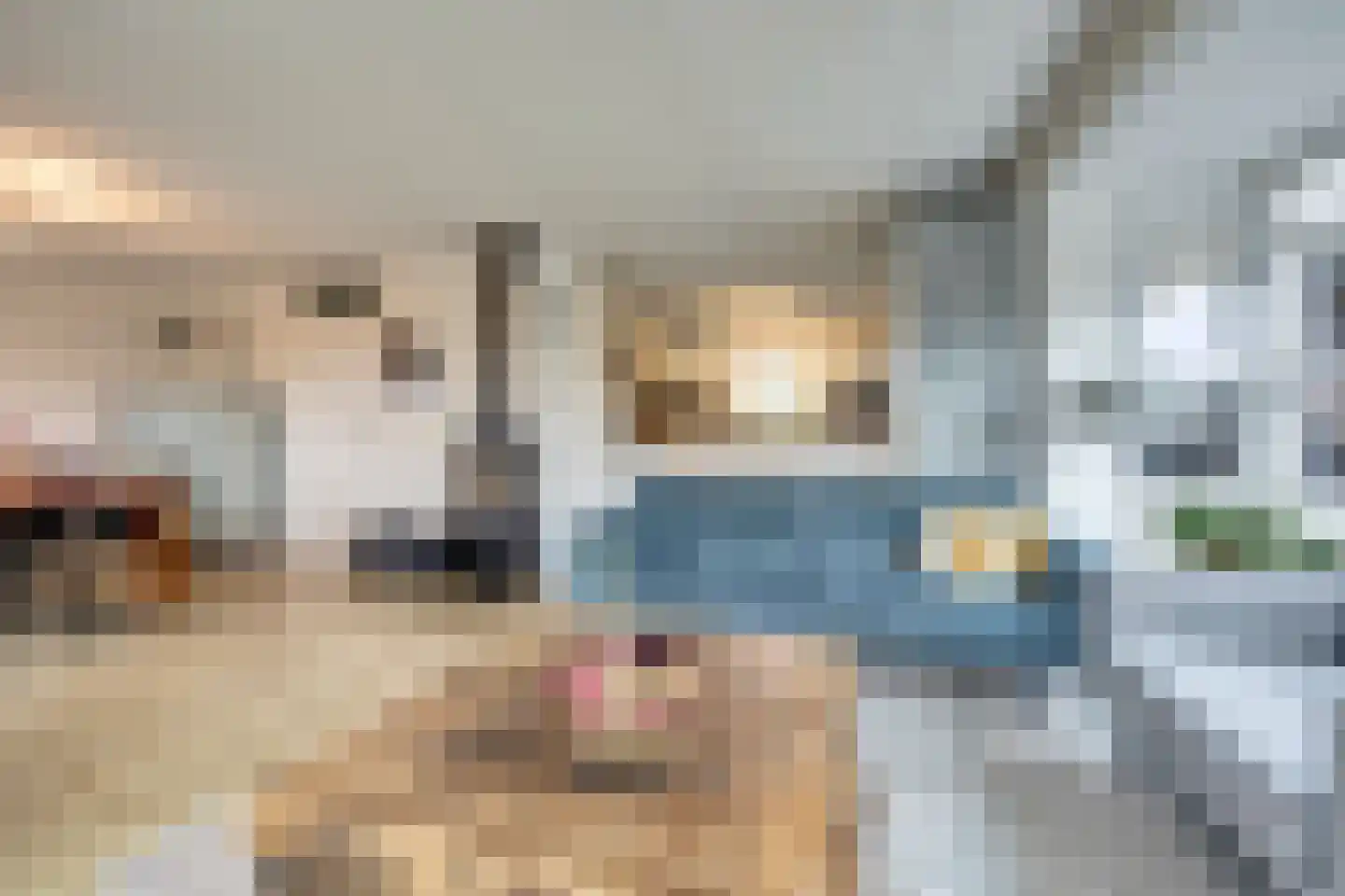 De Greiden 17 Indijk thumbnail 8