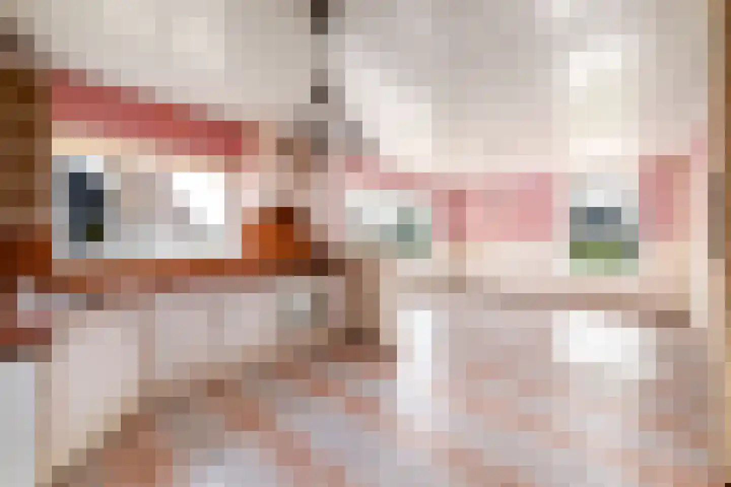 De Greiden 2 Idskenhuizen thumbnail 13