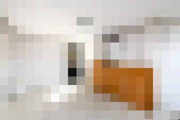De Greiden 2 Idskenhuizen thumbnail 14