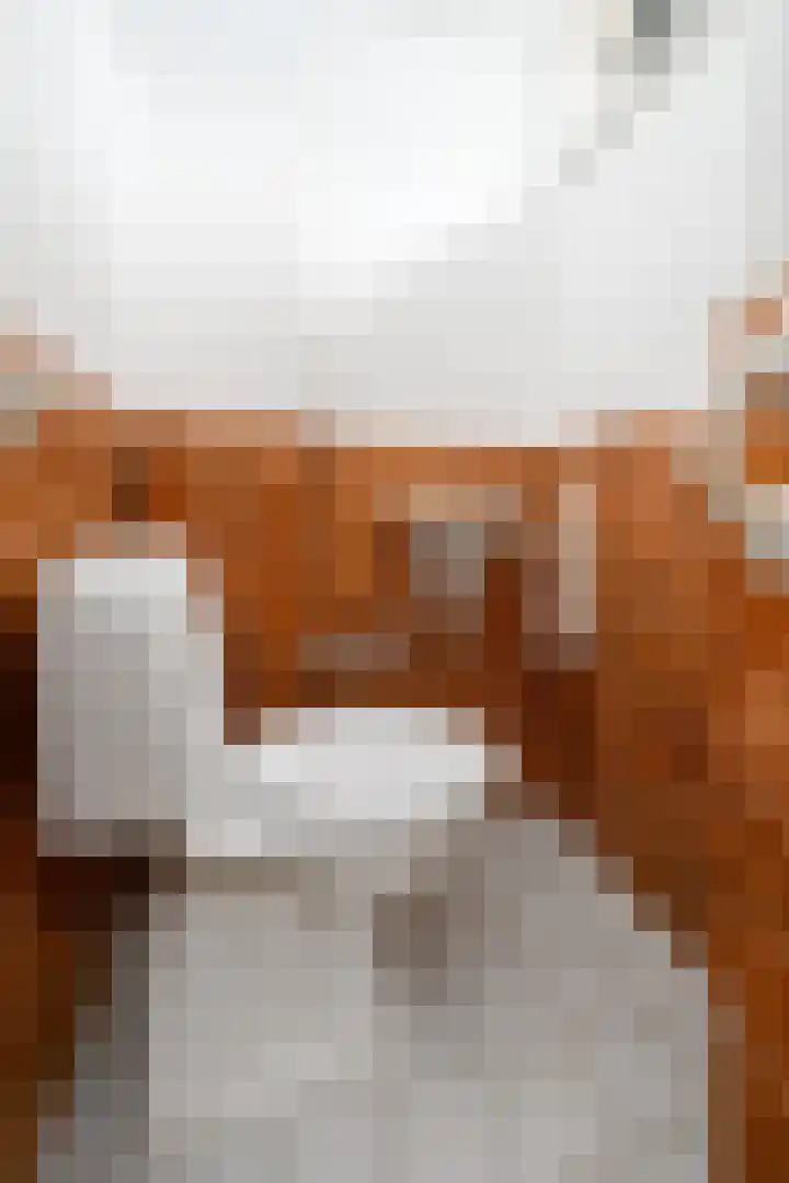 De Greiden 2 Idskenhuizen thumbnail 19