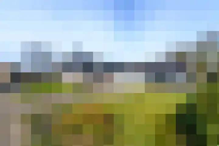 De Greiden 2 Idskenhuizen thumbnail 35