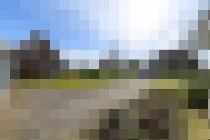 De Greiden 2 Idskenhuizen thumbnail 37