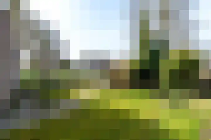 De Greiden 2 Idskenhuizen thumbnail 38