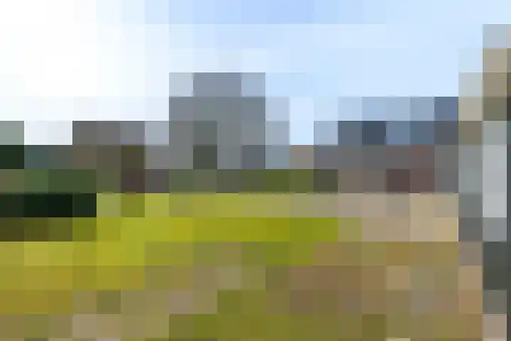 De Greiden 2 Idskenhuizen thumbnail 39