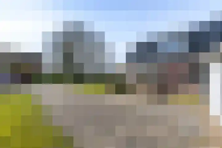 De Greiden 2 Idskenhuizen thumbnail 41