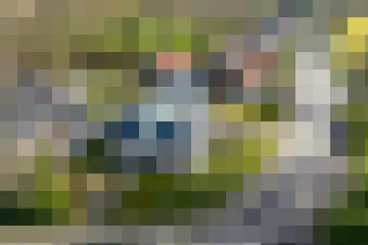 De Greiden 2 Idskenhuizen thumbnail 46