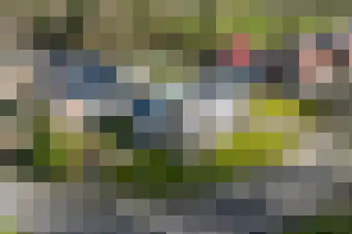 De Greiden 2 Idskenhuizen thumbnail 47