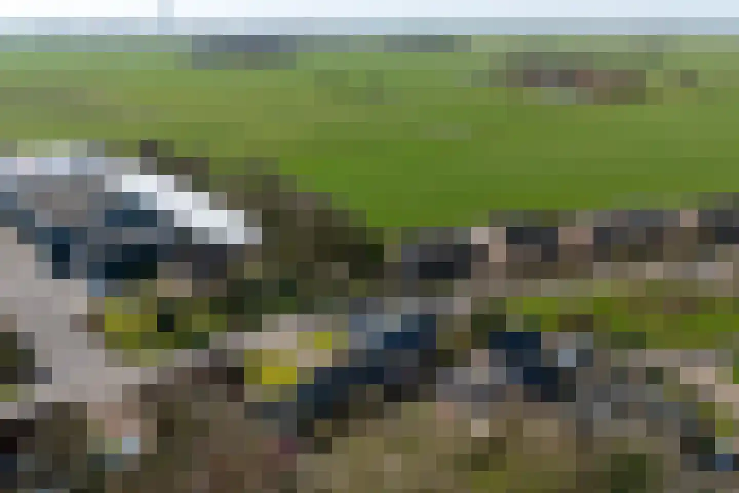 De Greiden 2 Idskenhuizen thumbnail 48