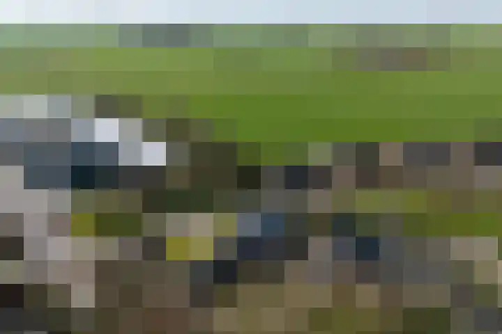 De Greiden 2 Idskenhuizen thumbnail 48