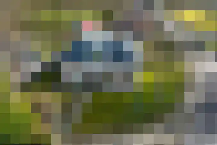 De Greiden 2 Idskenhuizen thumbnail 49