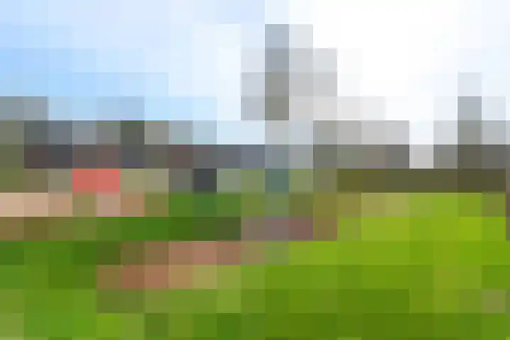 De Greiden 2 Idskenhuizen thumbnail 51