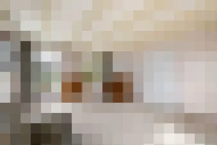 De Greiden 2 Idskenhuizen thumbnail 6