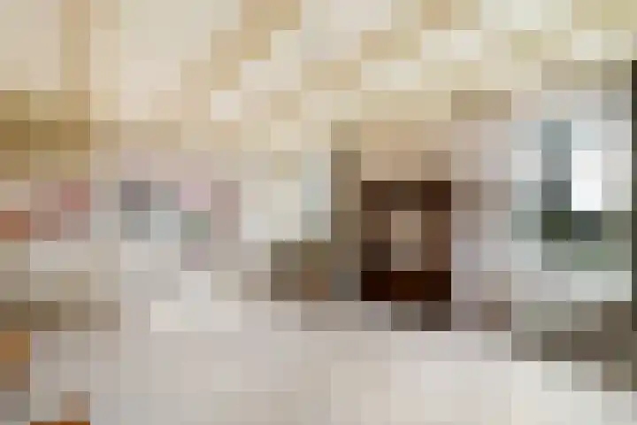De Greiden 2 Idskenhuizen thumbnail 8