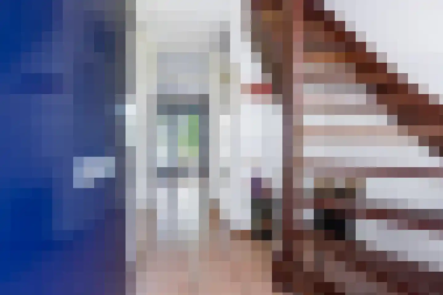 De Greiden 3 Indijk thumbnail 11